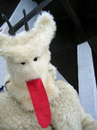 eika image